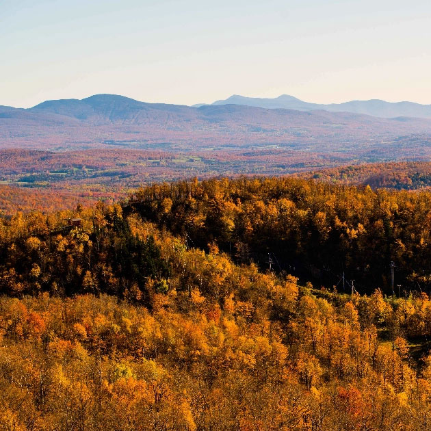 Estrie